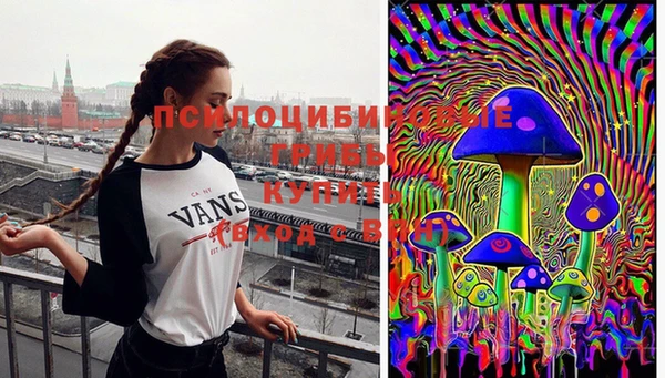 индика Аркадак